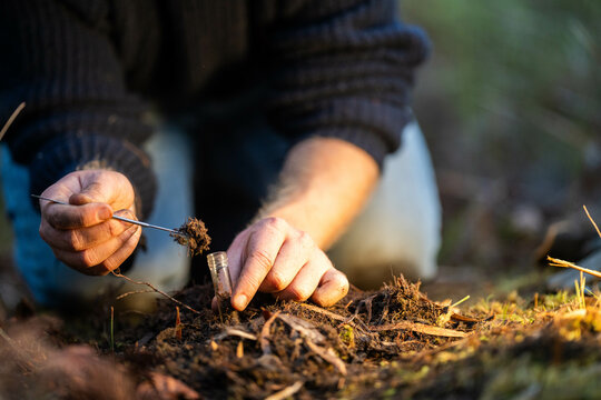 farmer collecting soil samples in a test tube in a field. Agronomist checking soil carbon and plant health on a farm in  a field