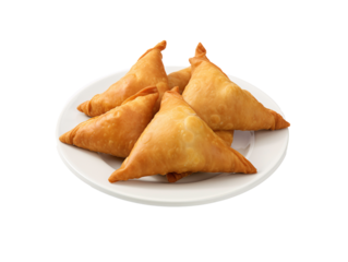 a plate of fried food