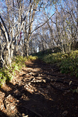Climbing  Mount Asama-kakushi, Gunma, Japan