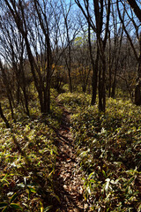 Climbing  Mount Asama-kakushi, Gunma, Japan