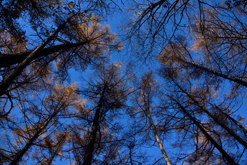 Climbing  Mount Asama-kakushi, Gunma, Japan