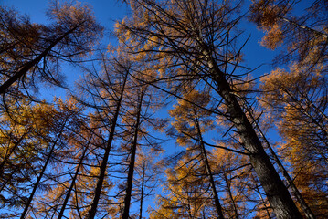 Climbing  Mount Asama-kakushi, Gunma, Japan
