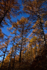 Climbing  Mount Asama-kakushi, Gunma, Japan