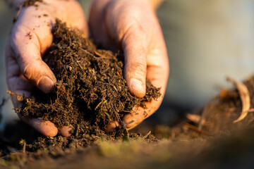 soil falling around a test tube collecting a soil collecting a soil sample in a paddock on a farm...