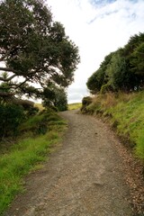 path in the woods