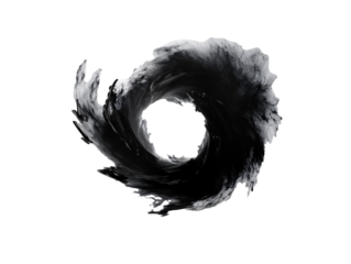 a black circle with a white circle in the middle