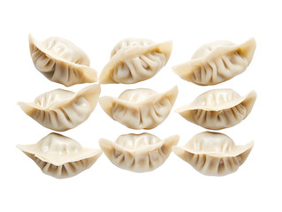 a group of dumplings