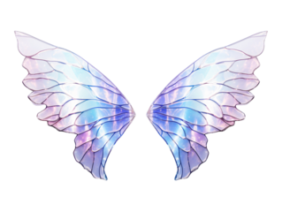 a pair of colorful wings