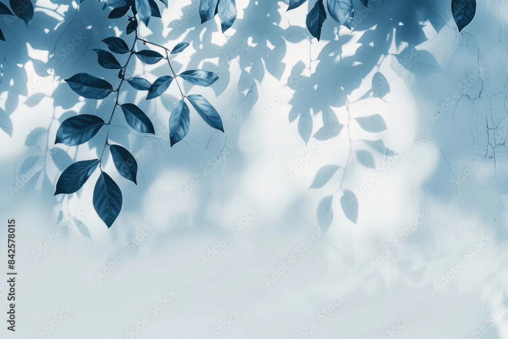 Poster a close-up image of blue leaves casting shadows on a white wall, creating a beautiful and ethereal p