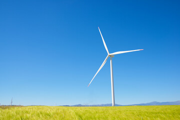 Wind turbine generators for green electricity production
