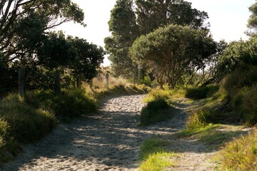 path in the park to the beach