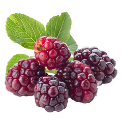 Fototapeta premium [Transparent Background PNG]Ripe Blackberries with Green Leaves