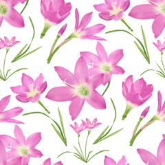 seamless pattern of rain lily flower or Zephyranthes rosea with pink petals, pistil and stamens. Isolated on white background. Illustration of rain lily suitable for fabric, paper or printed motive.
