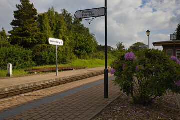 Mecklenburgische Bäderbahn, Zug, Dampflok, Kleinbahn Molli, Bahnhof Ostseebad Ostseebad Kühlungsborn Ost, Mecklenburg Vorpommern, Deutschland	