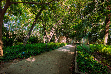 Pathway surrounded by lush green trees and plants in botanical garden