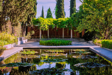 Obraz premium Tranquil water lily pond reflecting lush greenery in formal garden setting