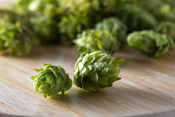 香りが良いホップの実