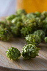 香りが良いホップの実