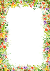 Colorful flowers, foral frame  isolated on white. Floral border. Watercolor illustration.