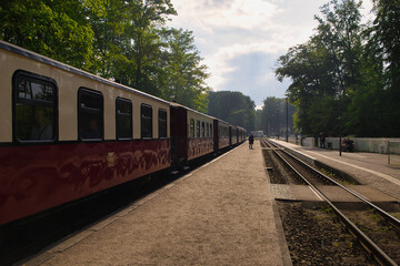 Fototapeta premium Einfahrt der historischen Schmalspurbahn Molli in den Bahnhof Ostseebad Heiligendamm mit klassischen Waggons unter schattigen Bäumen, Landkreis Rostock, Mecklenburg-Vorpommern, Deutschland