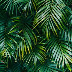Exotic tropical palm leaves pattern. Nature background.