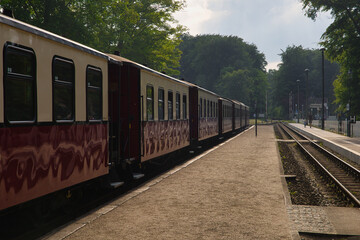 Obraz premium Historische Personenwagen der Mecklenburgischen Bäderbahn Molli am waldreichen Bahnsteig im Ostseebad Heiligendamm, Landkreis Rostock, Mecklenburg-Vorpommern, Deutschland