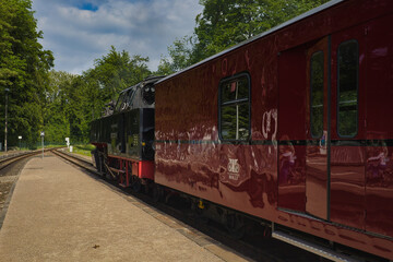 Fototapeta premium Historische Dampflokomotive der Bäderbahn Molli am Bahnsteig des Bahnhofs Heiligendamm mit glänzenden roten Waggons, Landkreis Rostock, Mecklenburg-Vorpommern, Deutschland