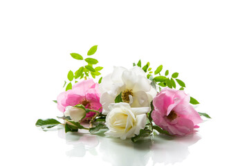 wooden light background with white and pink roses