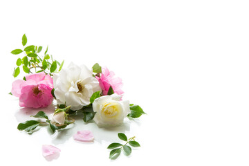 wooden light background with white and pink roses