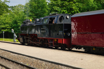 Fototapeta premium Mecklenburgische Bäderbahn, Zug, Dampflok, Kleinbahn Molli, Bahnhof Ostseebad Heiligendamm, Mecklenburg Vorpommern, Deutschland 
