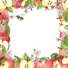 Square frame with red apples, white blossoms, honeybees and green leaves. Seamless garden frame. Hand-drawn watercolor illustration.