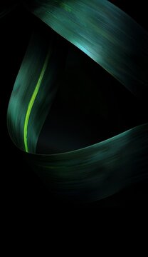 https://s