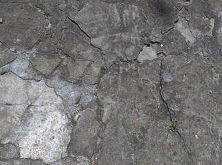 Aged Urban Concrete Texture: Intricate Cracks, Weathered Surface, Moss Patches, Time’s Imprint