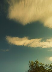 Fototapeta premium Tranquil Sky with Sunlit Clouds and Tree Silhouette - Perfect for Calm Backgrounds or Nature Themes