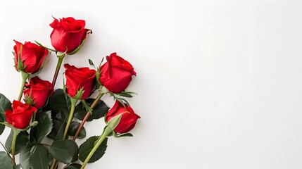 Beautiful composition of spring flowers and leaves on white background with copy space