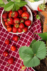 
Freshly picked strawberries.  collected fruits. berries fruits