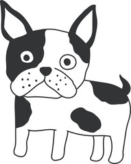 boston_terrier01