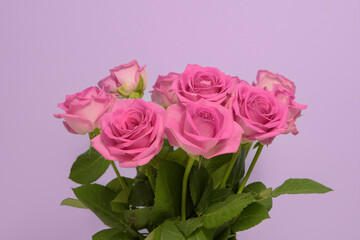 A bouquet of pink roses in a vase. pink background