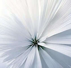 Obraz premium open book with flower, illustration, design, pattern, wallpaper, art, blur, rays, blue, flower, star, space, fractal, motion, color