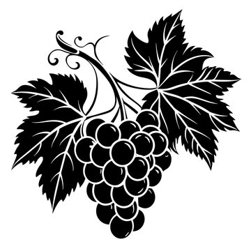 recommend clip art: A bunch of grapes with leaves silhouette vector illustration 