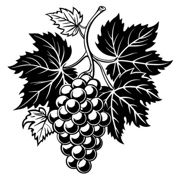 recommend clip art: A bunch of grapes with leaves silhouette vector illustration 