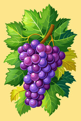 A bunch of grapes with leaves  vector illustration 