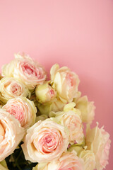 Bouquet of soft white roses on pink background. Floral still life with roses.