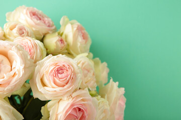 Bouquet of soft white roses on mint background. Floral still life with roses.