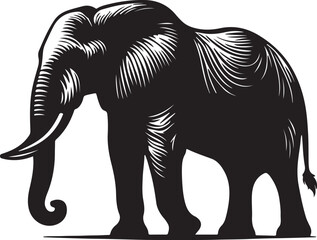 elephant vector art illustration 
