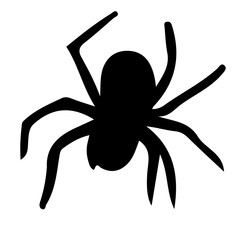 Spider Silhouette Vector