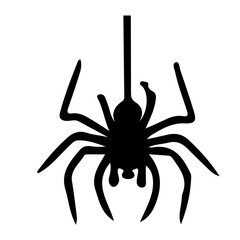 Spider Silhouette Vector