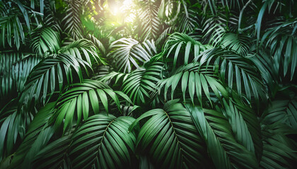 Dramatic light.nature leaves, green tropical forest, backgound illustration concept.