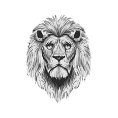 Obraz premium lion head vector silhouette illustration. detailed and vintage textured design