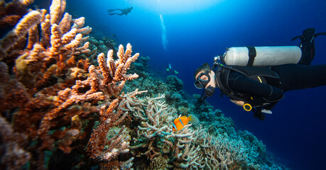 Girl scuba diver diving on tropical reef with blue background and reef fish